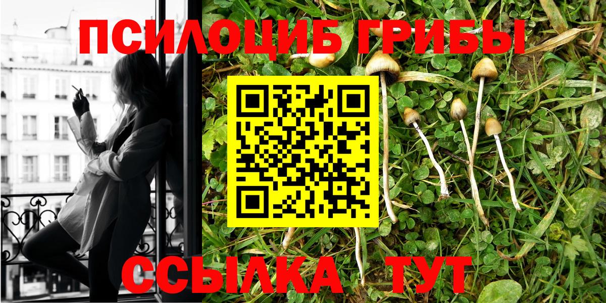 Галлюциногенные грибы мухоморы Волхов