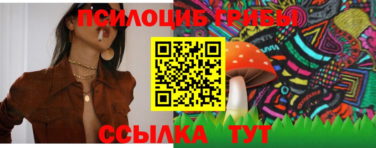Псилоцибиновые грибы Psilocybine cubensis  Вход с VPN  Волхов 
